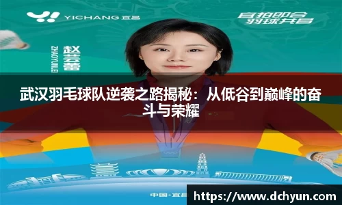 突破冰球豪华版电子游戏